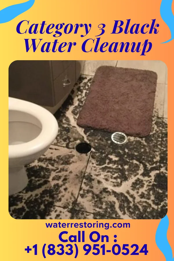 Category 3 Black Water Cleanup in Lockwood, MO