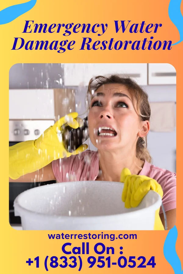 Emergency Water Damage Restoration in Lockwood, MO