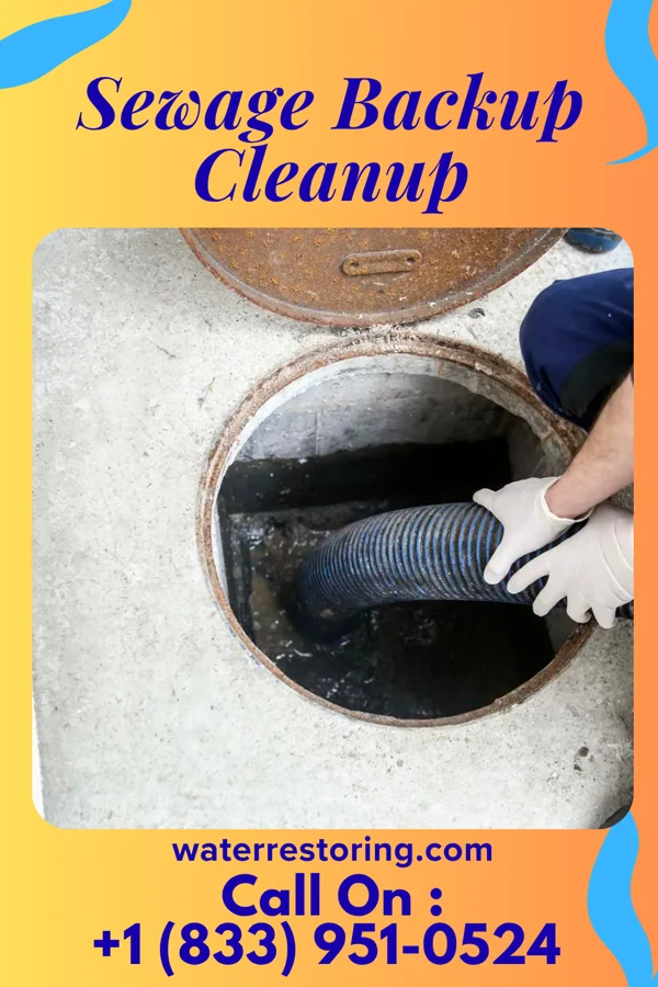 Sewage Backup Cleanup in Lockwood, MO